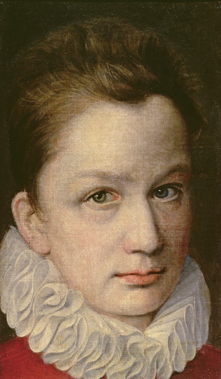 Ritratto di un giovane, c.1570-75 da or Dumoustier, Pierre Dumonstier