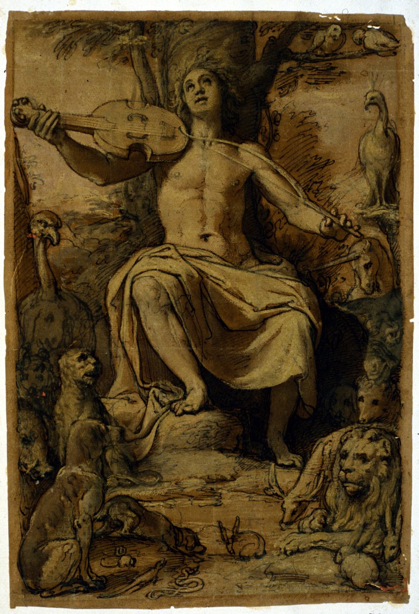 Orfeo che incanta gli animali con la musica di un violino. Disegno di Federico Zuccari (1542 - 1609) da or Zuccaro Federico Zuccari
