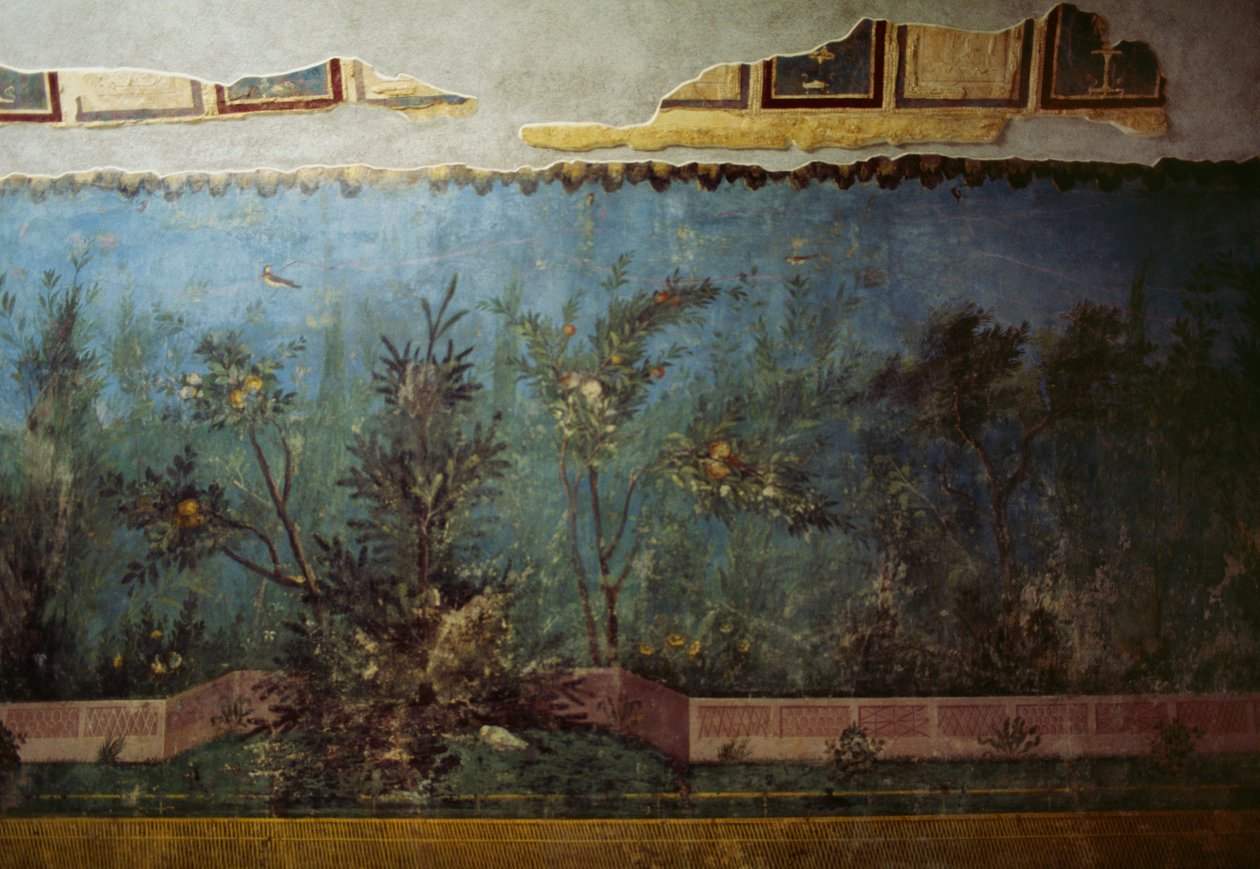 Affresco raffigurante un giardino con alberi e uccelli, dalla Casa di Livia sul Palatino, Roma, Italia. Civiltà romana da Unbekannt Unbekannt