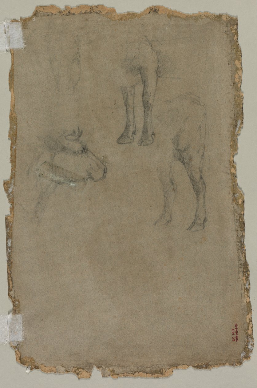 Studi di un Toro (verso) da possibly by Johan Barthold Jongkind