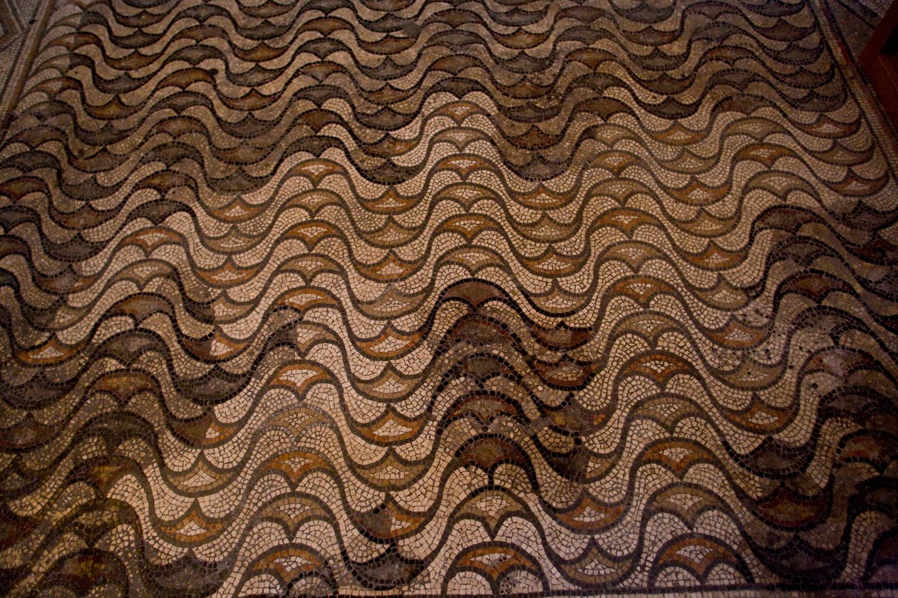 Dettaglio della decorazione del pavimento (dettaglio) da School Italian