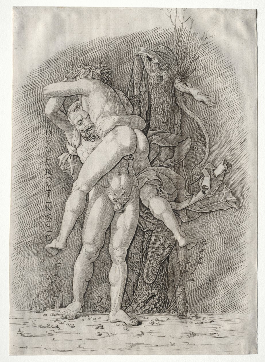 Ercole e Anteo da school of Andrea Mantegna