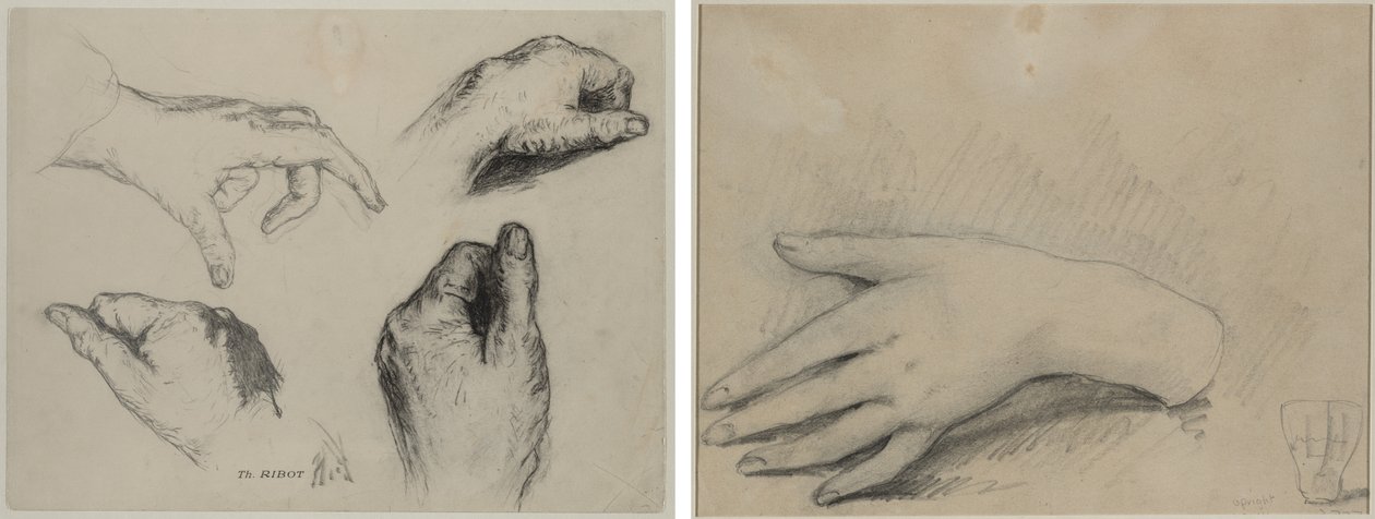 Studio di mani (recto); Studio della mano di una donna (verso) da studio of A. W. A. Plâté Studio (Ceylonese)