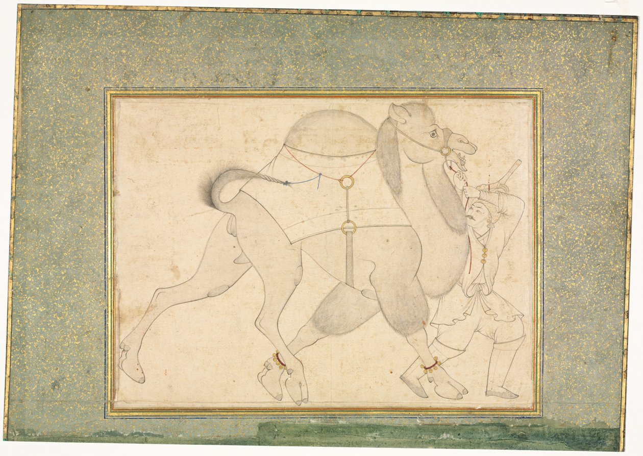 Cammello e groom; Illustrazione a pagina singola da style of Shaykh Muhammad