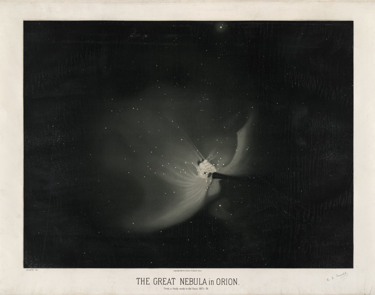 La grande nebulosa in Orione. Da uno studio fatto negli anni 1875-76. (Tavola XV dai Disegni Astronomici di Trouvelot 1881-1882) da Étienne Léopold Trouvelot
