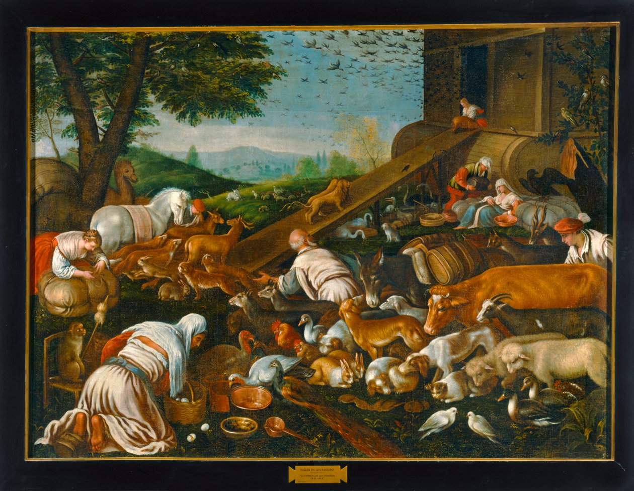 Gli animali entrano nell