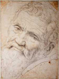 Ritratto di Michelangelo Buonarroti. Carbone, gesso su carta, c.1550 da Daniele da  Volterra