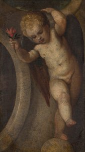 Putto con un fiore rosso, c.1548-88 da Veronese