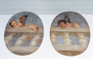 Due putti alati che scalano una balaustra, tondi dalla sacrestia da Veronese
