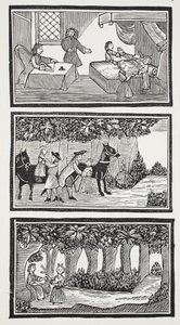 La storia dei due bambini nel bosco, illustrazione da 