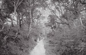 Fairlight Glen da (after) English photographer