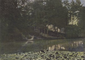 Bois de Boulogne, Il serbatoio da (after) French Photographer