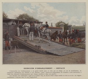 Esercizi di imbarco, cavalli