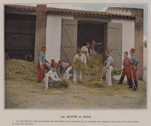 La Botte a Coco da (after) French Photographer