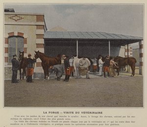 La forgia, visita del veterinario da (after) French Photographer