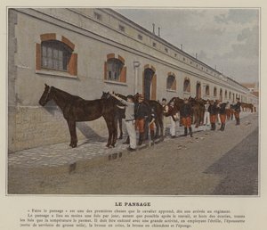 La pulizia