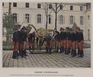Lezioni di Ippologia