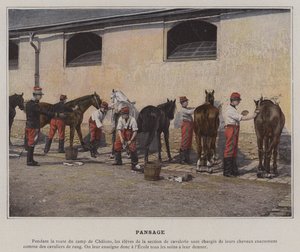 Pulizia
