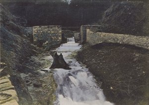 Sorgenti dell