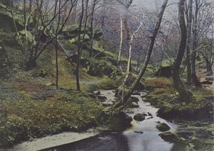 Vaux de Cernay, Le Cascate da (after) French Photographer