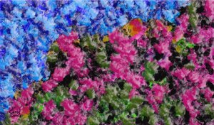 EFERVESCENCIA DE COLORES da Carol Sousa Cuello