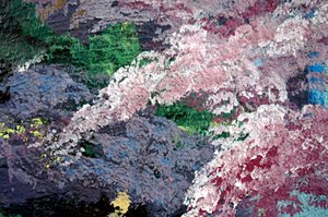 Lillà in fiore
