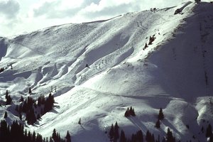 Pendio innevato da Detlef B. Fischer