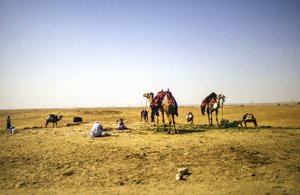 Nel deserto da Detlef B. Fischer