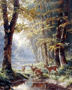 Un cervo tra gli alberi che beve l