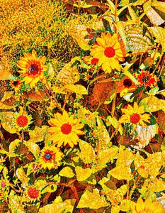 Girasoli per Van Gogh. da Margareta Uliarte