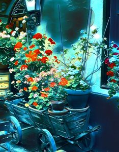 Fiori al chiaro di luna.