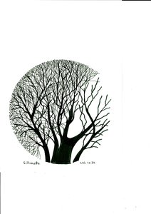 Silhouette da Urs Grünenfelder