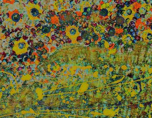 Sinfonia di fiori. da Margareta Uliarte