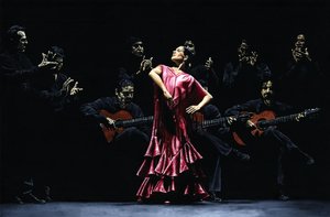 Orgogliosa ballerina di flamenco