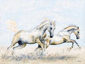 Cavalieri arabi