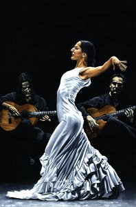 Concentrazione di performance di flamenco da Richard Young