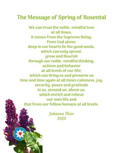 The Message of Spring of Rosental da Johanna Thier