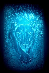 La pantera - blu