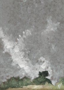 Siepe e nuvole