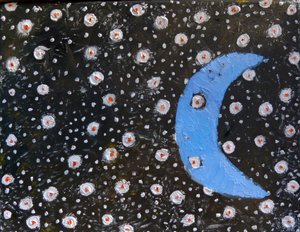 Notte di luna