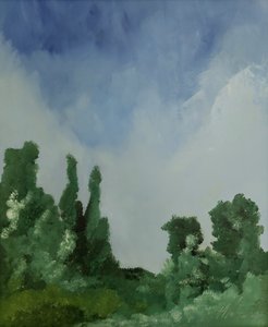 Nuvole sul bosco da M. Vet