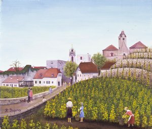Vendemmia a Dürnstein