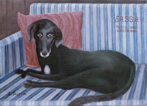 Il nostro cane Sassa