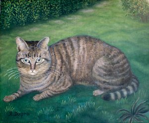 Il gatto Julia