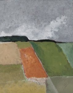 Boschi in collina da M. Vet