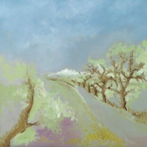 Lungo la strada in primavera da M. Vet