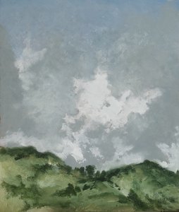 Alberi in collina