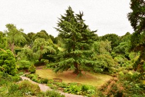 Paesaggio naturale in stile pittura a olio