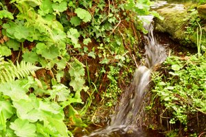 Paesaggio naturale in stile pittura a olio