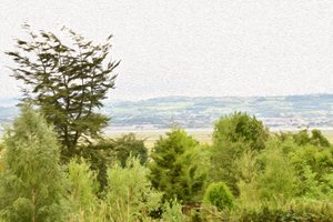 Pittura a olio: paesaggio naturale